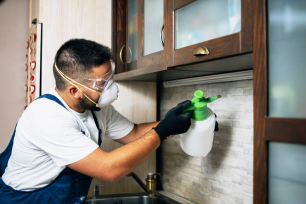 Best Pest Control Near Me  in Camas, WA