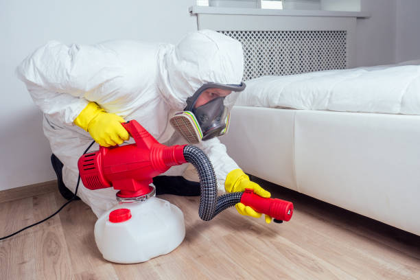 Professional Pest Control in Camas, WA