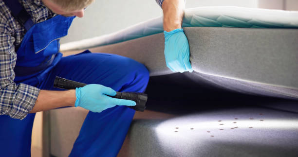 Wasp Removal Services in Camas, WA