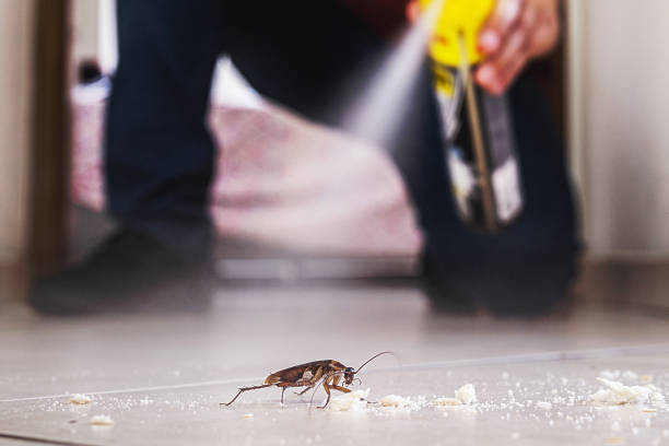 Pest Control Cost in Camas, WA