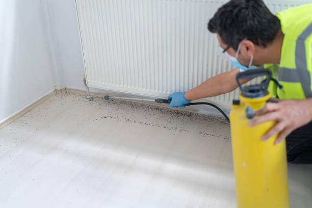 Pest Control Cost in Camas, WA